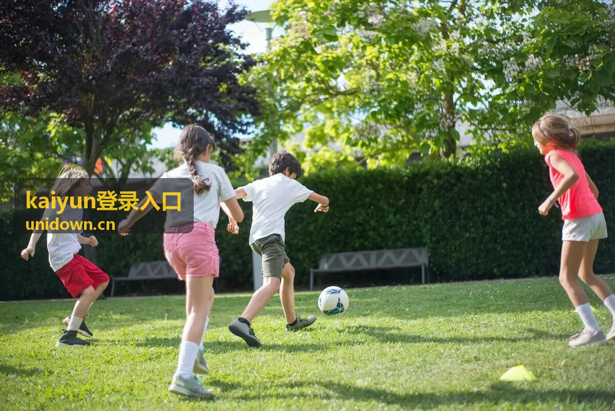 kaiyun登录入口 公共网络下确认入口可用性