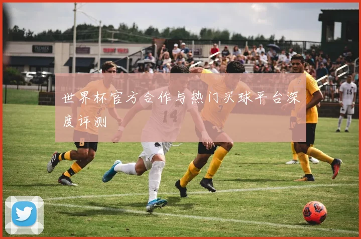 世界杯官方合作与热门买球平台深度评测