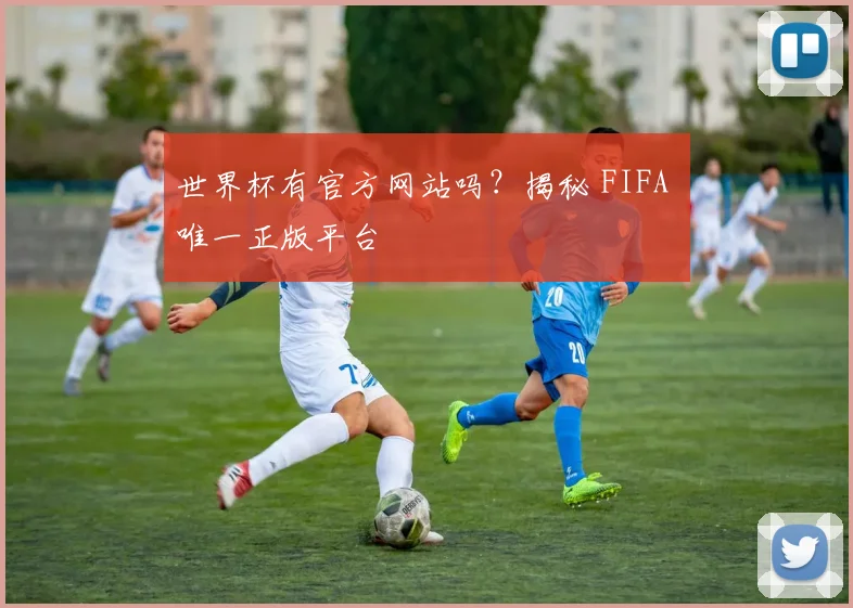 世界杯有官方网站吗？揭秘 FIFA 唯一正版平台