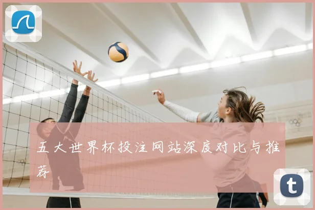 五大世界杯投注网站深度对比与推荐