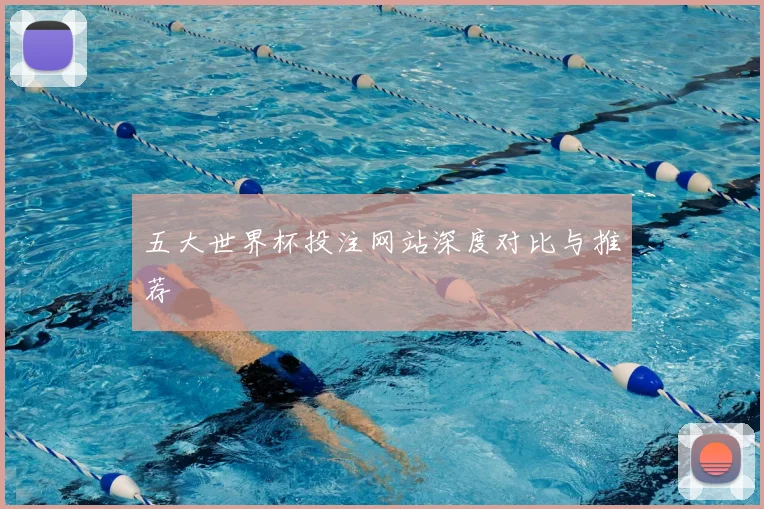 五大世界杯投注网站深度对比与推荐