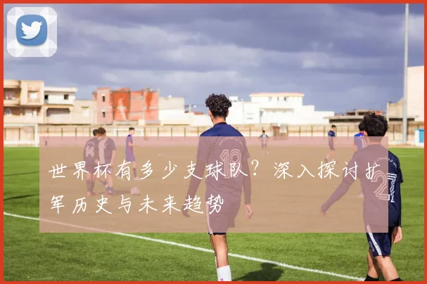 世界杯有多少支球队？深入探讨扩军历史与未来趋势